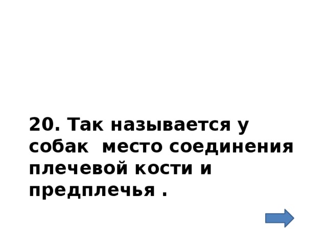 20. Так называется у собак место соединения плечевой кости и предплечья . 