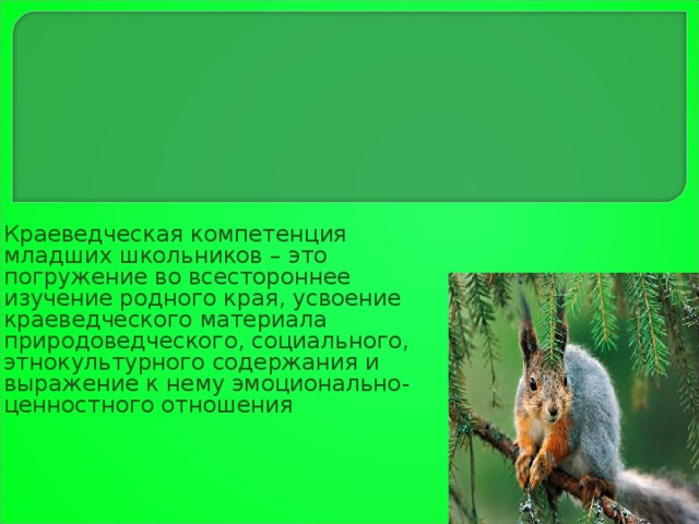 Краеведческая компетенция младших школьников – это погружение во всестороннее изучение родного края, усвоение краеведческого материала природоведческого, социального, этнокультурного содержания и выражение к нему эмоционально-ценностного отношения . 