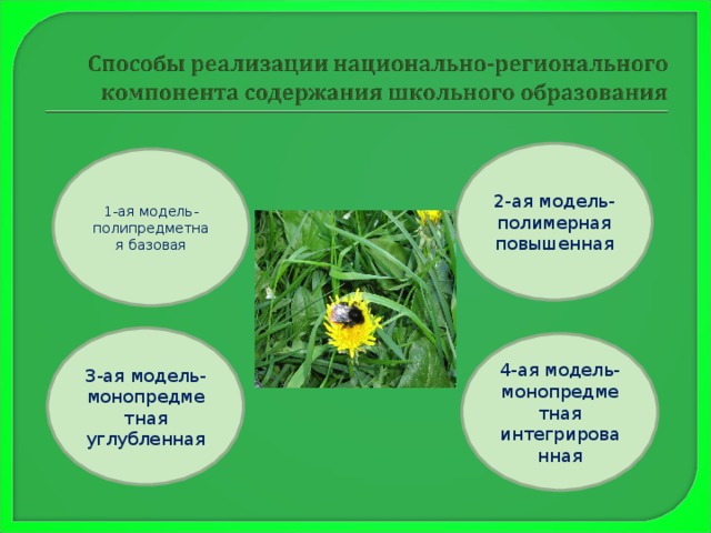 2-ая модель- полимерная повышенная 1-ая модель-полипредметная базовая  . 3-ая модель- монопредметная углубленная 4-ая модель- монопредметная интегрированная 