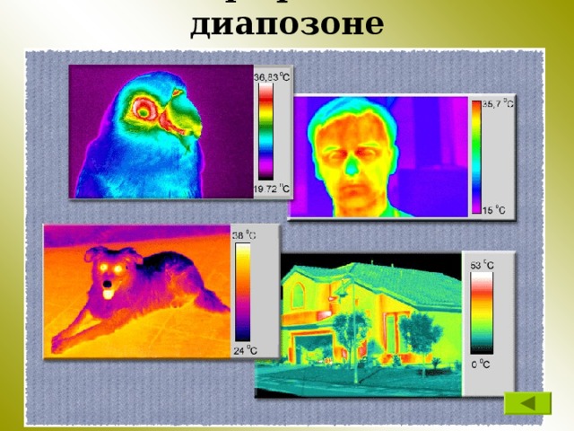 Фотографии в ИК-диапозоне 