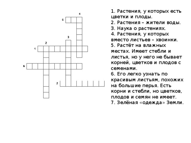 1. Растения, у которых есть цветки и плоды. 2. Растения – жители воды. 3. Наука о растениях. 4. Растения, у которых вместо листьев – хвоинки. 5. Растёт на влажных местах. Имеет стебли и листья, но у него не бывает корней, цветков и плодов с семенами. 6. Его легко узнать по красивым листьям, похожих на большие перья. Есть корни и стебли, но цветков, плодов и семян не имеет. 7. Зелёная «одежда» Земли. 