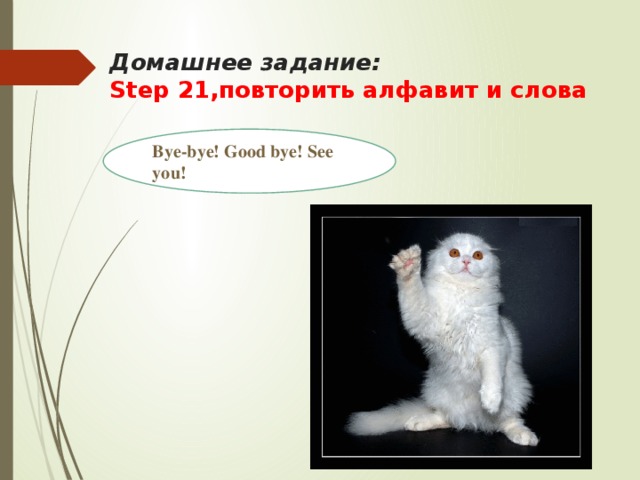 Домашнее задание:  Step 21,повторить алфавит и слова   Bye-bye! Good bye! See you! 