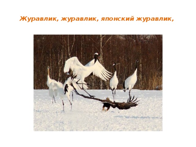 Журавлик, журавлик, японский журавлик,