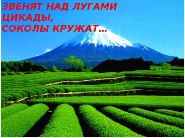 Как хорош этот мир!  Звенят над лугами цикады,  Соколы кружат…