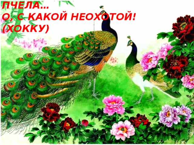 Из сердцевины пиона  Медленно выползает пчела…  О, с какой неохотой! (хокку)