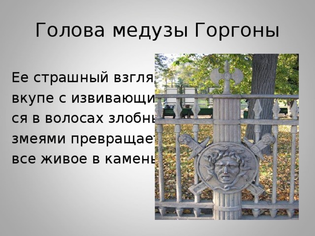 Голова медузы Горгоны Ее страшный взгляд вкупе с извивающими- ся в волосах злобными змеями превращает все живое в камень. 