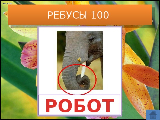 РЕБУСЫ 100 РОБОТ