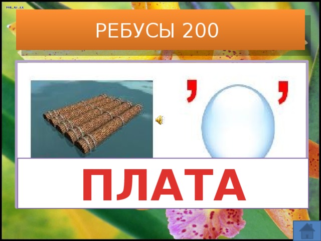 РЕБУСЫ 200 ПЛАТА