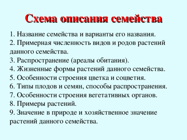 План описания семьи