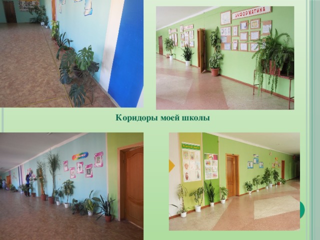 Коридоры моей школы 