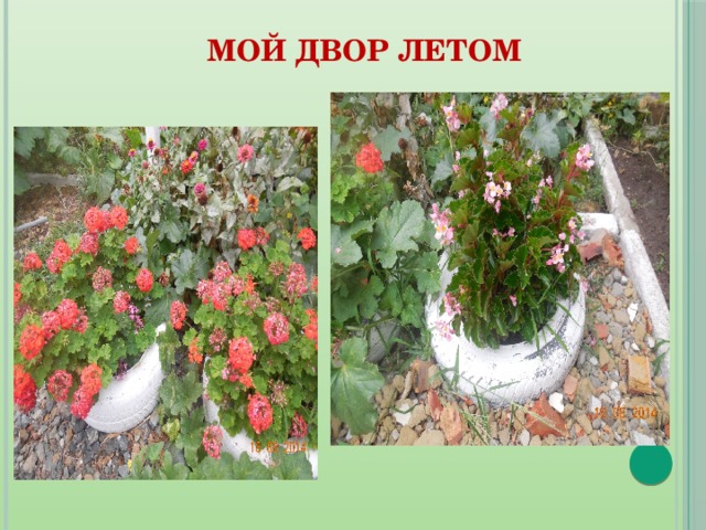  Мой двор летом 