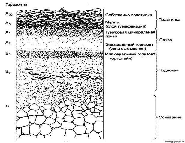 Тип почвы по схеме