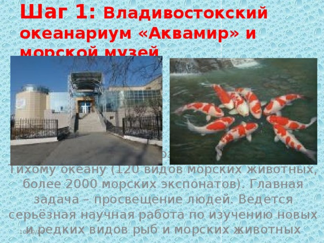 Шаг 1: Владивостокский океанариум «Аквамир» и морской музей    Представлена экспозиция, посвященная Тихому океану (120 видов морских животных, более 2000 морских экспонатов). Главная задача – просвещение людей. Ведется серьёзная научная работа по изучению новых и редких видов рыб и морских животных 10/19/16  