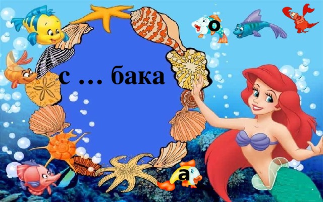 о с … бака а 