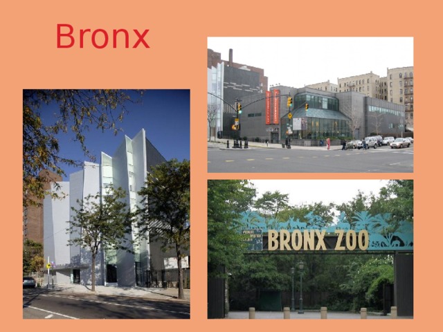 Bronx 