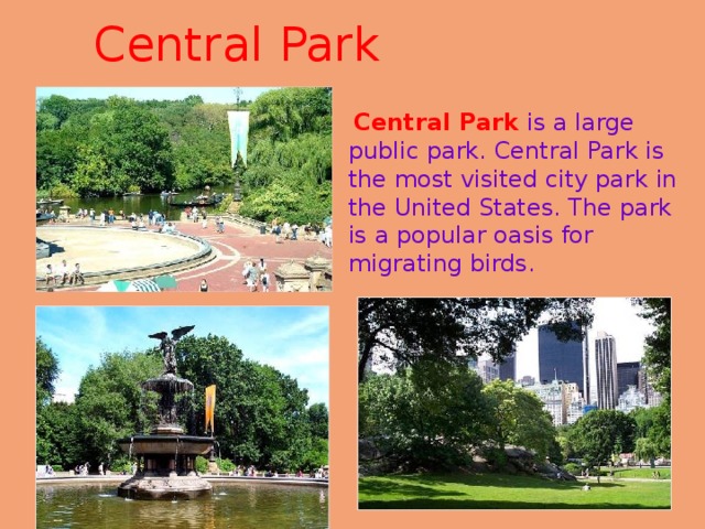 Central Park    Central Park is a large public park. Central Park is the most visited city park in the United States. The park is a popular oasis for migrating birds. 
