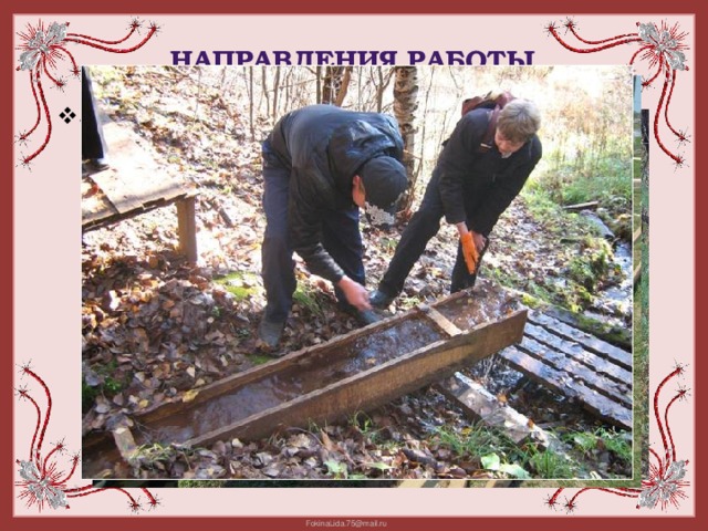 Направления работы «Экология» 