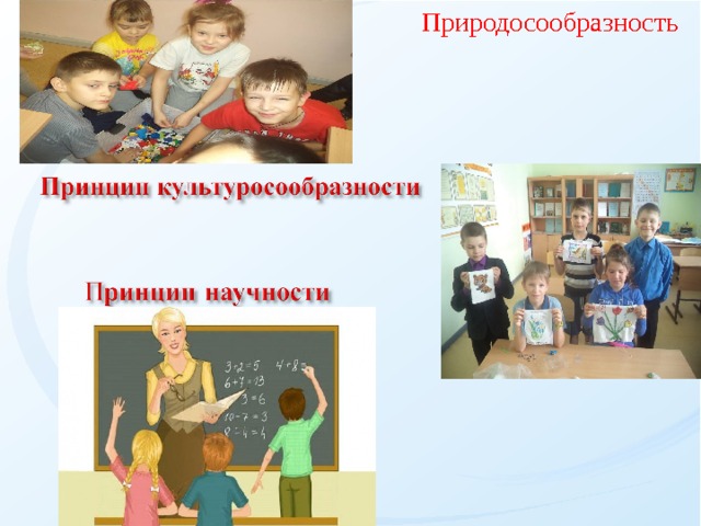 Природосообразность   