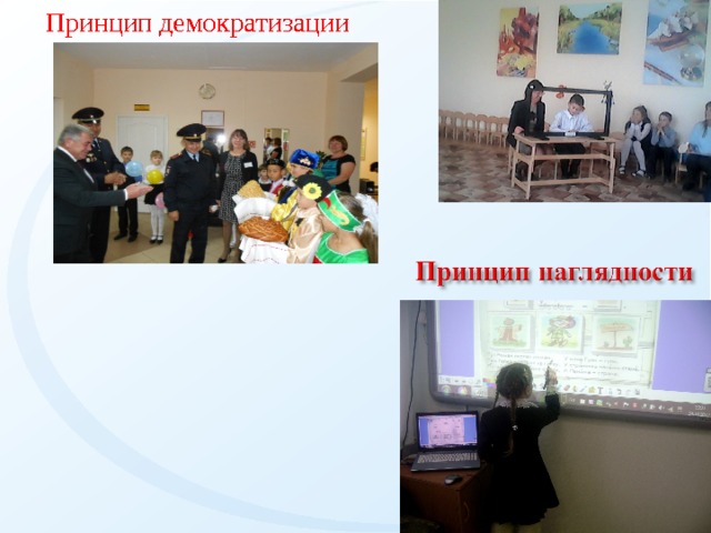 Принцип демократизации   