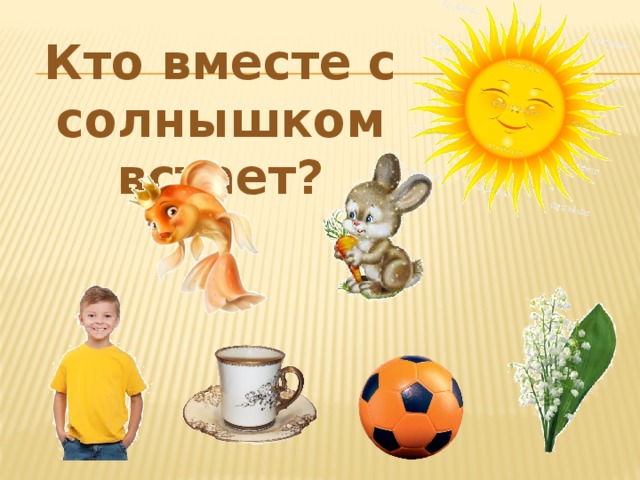 Кто вместе с солнышком встает? 