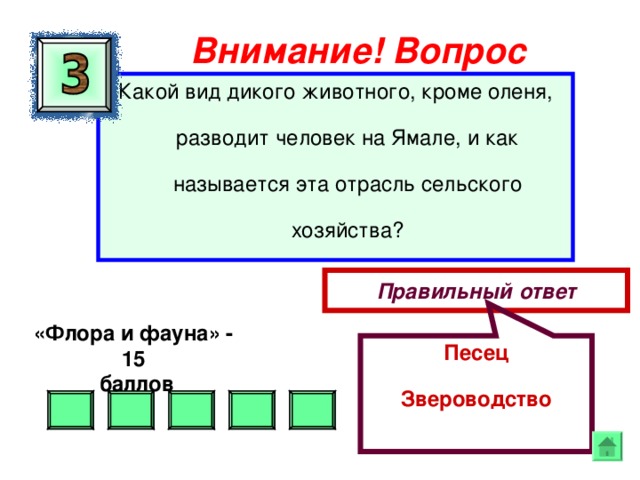 Песец Звероводство Внимание ! Вопрос Какой вид дикого животного, кроме оленя, разводит человек на Ямале, и как называется эта отрасль сельского хозяйства? Правильный ответ «Флора и фауна» - 15  баллов  