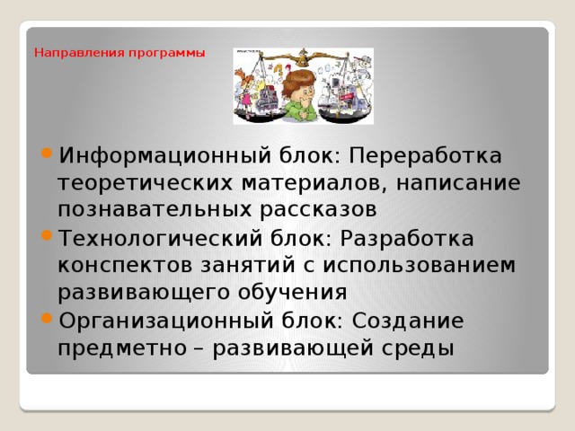 Направления программы