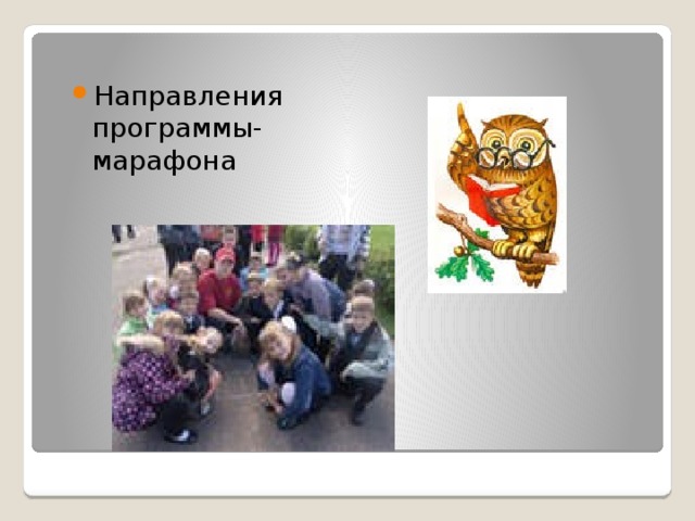 Направления программы-марафона