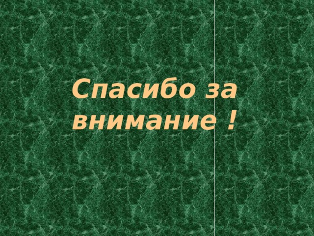Спасибо за внимание ! 