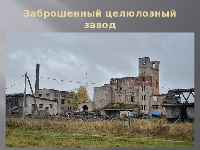 Заброшенный целюлозный завод 