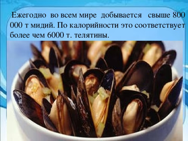  Ежегодно  во всем мире  добывается   свыше 800 000 т мидий. По калорийности это соответствует более чем 6000 т. телятины. 