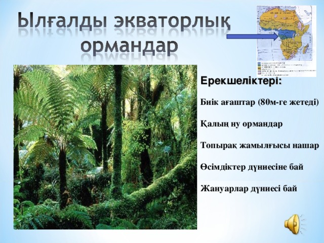 Ерекшеліктері:  Биік ағаштар (80м-ге жетеді)  Қалың ну ормандар  Топырақ жамылғысы нашар  Өсімдіктер дүниесіне бай  Жануарлар дүниесі бай  