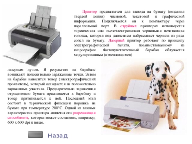 Принтер предназначен для вывода на бумагу (создания твердой копии) числовой, текстовой и графической информации. Подключается он к компьютеру через параллельный порт. В струйных принтерах используется термическая или пьезоэлектрическая чернильная печатающая головка, которая под давлением выбрасывает чернила из ряда сопел на бумагу. Лазерный принтер работает по принципу электрографической печати, позаимствованному из ксерографии. Фоточувствительный барабан облучается модулированным (изменяющимся) лазерным лучом. В результате на барабане возникают положительно заряженные точки. Затем на барабан наносится тонер (электрографический проявитель), который осаждается на положительно заряженных участках. Предварительно заряженная отрицательно бумага прижимается к барабану и тонер притягивается к ней. Последний этап состоит в термической фиксации порошка на бумаге при температуре 200°С. Одной из важных характеристик принтера является его разрешающая способность , которая может составлять, например, 600 х 600 dpi и выше. Назад 