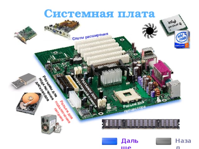 Разъемы для оперативной памяти Разъем для процессора Разъем для подключения питания Разъемы для подключения дисководов Слоты расширения Системная плата Дальше Назад 