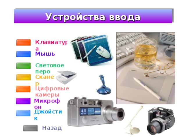 Устройства ввода Клавиатура Мышь Световое перо Сканер Цифровые камеры Микрофон Джойстик Назад 