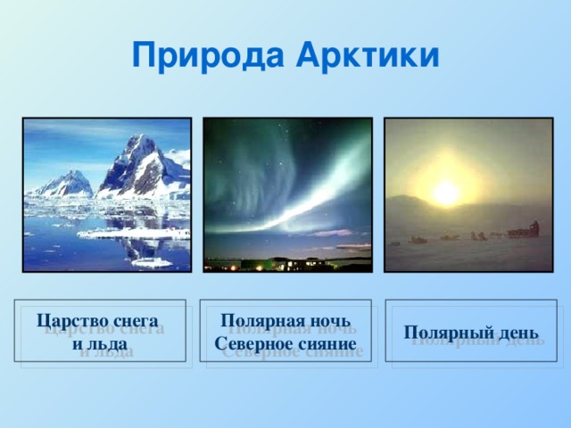 Постройте схему предложения в полярную ночь