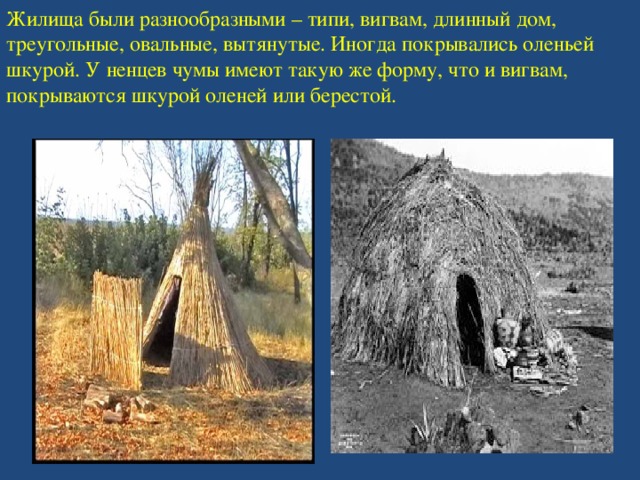 Жилища были разнообразными – типи, вигвам, длинный дом, треугольные, овальные, вытянутые. Иногда покрывались оленьей шкурой. У ненцев чумы имеют такую же форму, что и вигвам, покрываются шкурой оленей или берестой. 