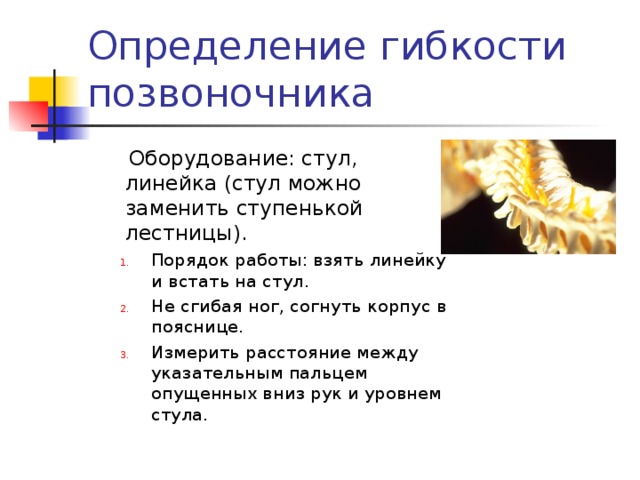  Оборудование: стул, линейка (стул можно заменить ступенькой лестницы). Порядок работы: взять линейку и встать на стул. Не сгибая ног, согнуть корпус в пояснице. Измерить расстояние между указательным пальцем опущенных вниз рук и уровнем стула. Порядок работы: взять линейку и встать на стул. Не сгибая ног, согнуть корпус в пояснице. Измерить расстояние между указательным пальцем опущенных вниз рук и уровнем стула. 