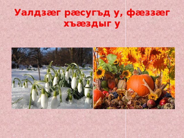 Уалдзæг рæсугъд у, фæззæг хъæздыг у   