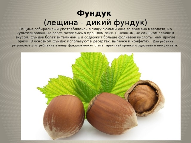 Фундук    (лещина - дикий фундук)  Лещина собирались и употреблялись в пищу людьми еще во времена мезолита, но культивированные сорта появились в прошлом веке. С нежным, не слишком сладким вкусом, фундук богат витамином Е и содержит больше фолиевой кислоты, чем другие орехи. В основном фундук используют в десертах, выпечке и конфетах.  Для ребенка регулярное употребление в пищу фундука может стать гарантией крепкого здоровья и иммунитета.  
