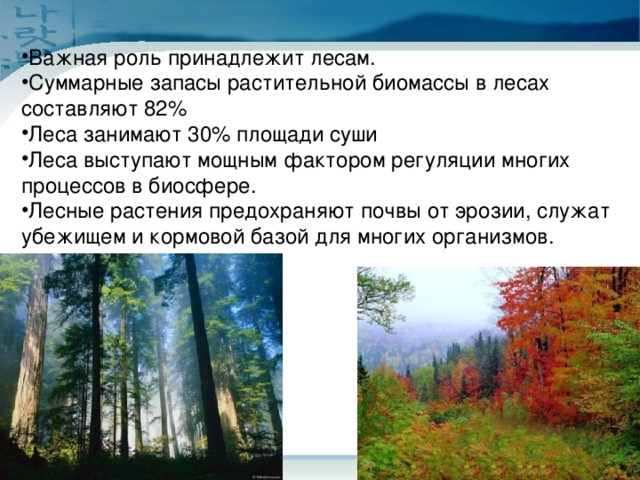 6 класс география презентация жизнь на поверхности суши леса