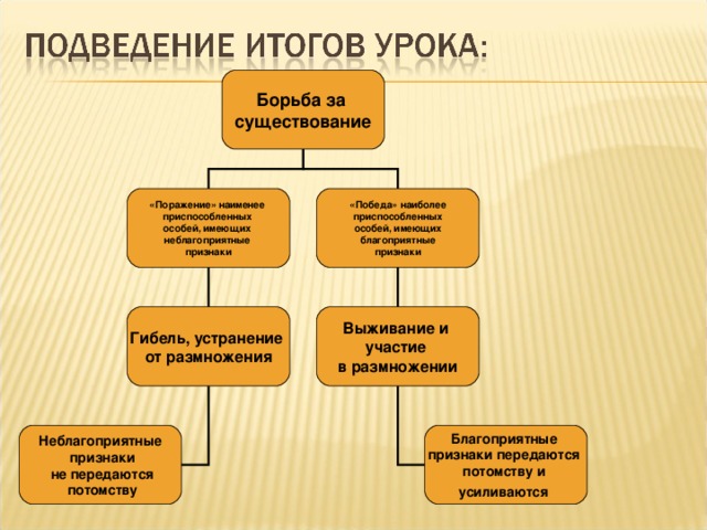 Борьба за существование «Поражение» наименее приспособленных особей, имеющих неблагоприятные признаки «Победа» наиболее  приспособленных особей, имеющих  благоприятные признаки Выживание и участие в размножении Гибель, устранение от размножения Благоприятные признаки передаются потомству и усиливаются  Неблагоприятные  признаки  не передаются  потомству 