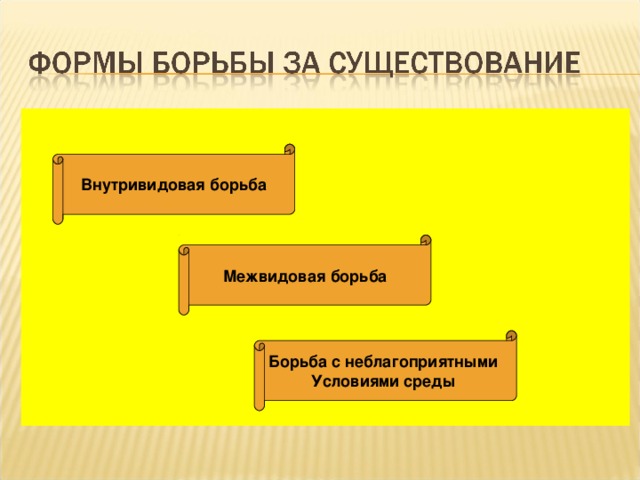 Внутривидовая борьба Межвидовая борьба Борьба с неблагоприятными Условиями среды 