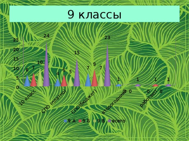 9 классы 