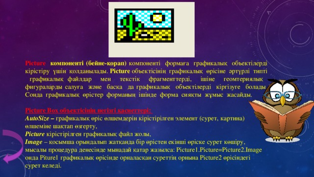  Picture компоненті (бейне-қорап) компоненті формаға графикалық объектілерді кірістіру үшін қолданылады. Picture объектісінің графикалық өрісіне әртүрлі типті графикалық файлдар мен текстік фрагменттерді, ішіне геомтериялық фигураларды салуға және басқа да графикалық объектілерді кіргізуге болады. Сонда графикалық өрістер форманың ішінде форма сияқты жұмыс жасайды.  Picture Box объектісінің негізгі қасиеттері: AutoSize – графикалық өріс өлшемдерін кірістірілген элемент (сурет, картина) өлшеміне шақтап өзгерту, Picture кірістірілген графикалық файл жолы, Image – қосымша орындалып жатқанда бір өрістен екінші өріске сурет көшіру, мысалы процедура денесінде мынадай қатар жазылса: Piсture1.Picture=Picture2.Image онда Piture1 графикалық өрісінде орналасқан суреттің орнына Picture2 өрісіндегі сурет келеді. 