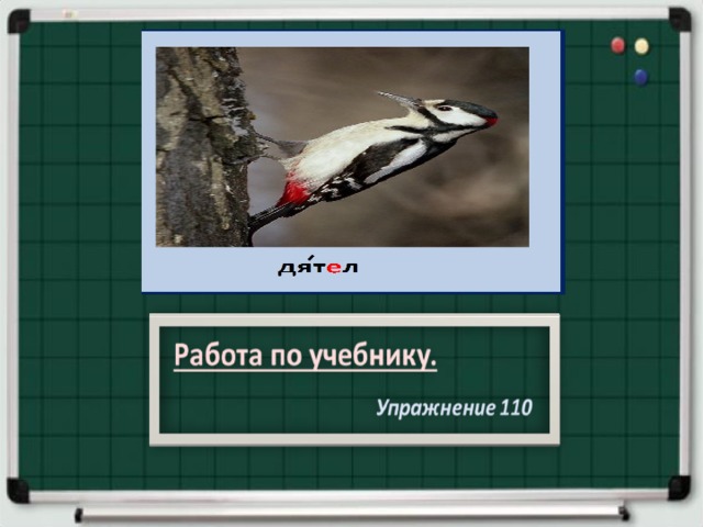 Белочка спрятала орешки по адресам нарисуй эти орешки на координатной сетке