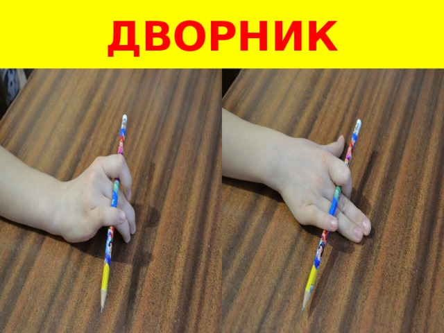 ДВОРНИК 