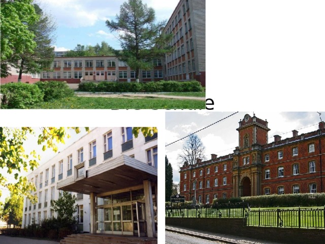 Die Schule 