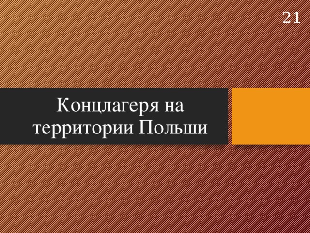  Концлагеря на территории Польши 