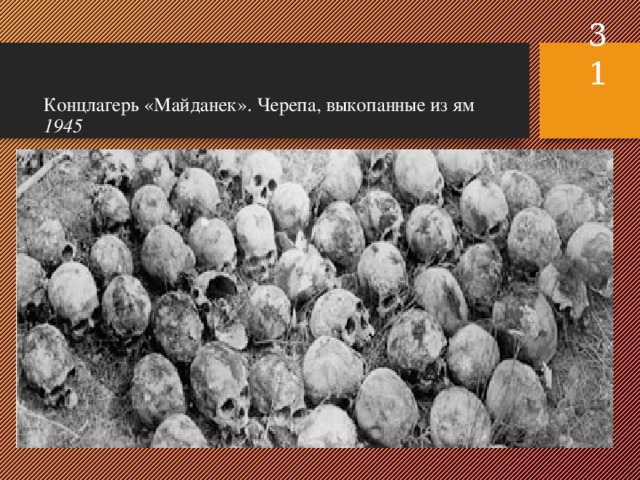   Концлагерь «Майданек». Черепа, выкопанные из ям  1945   