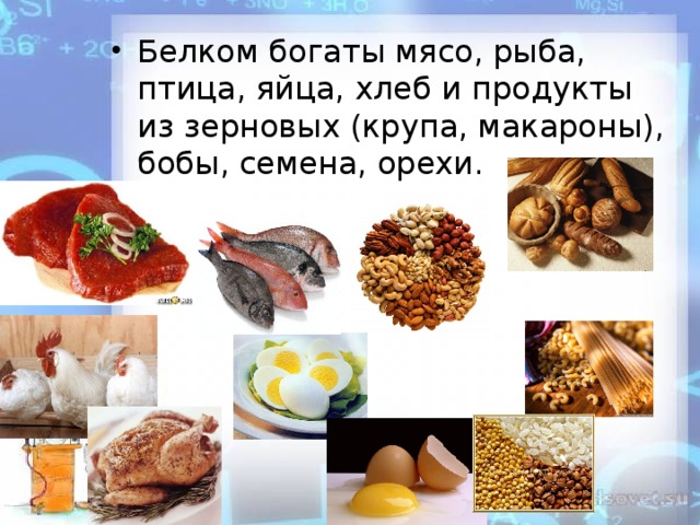 Белком богаты мясо, рыба, птица, яйца, хлеб и продукты из зерновых (крупа, макароны), бобы, семена, орехи. 